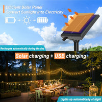 Lumi Solar String Lights